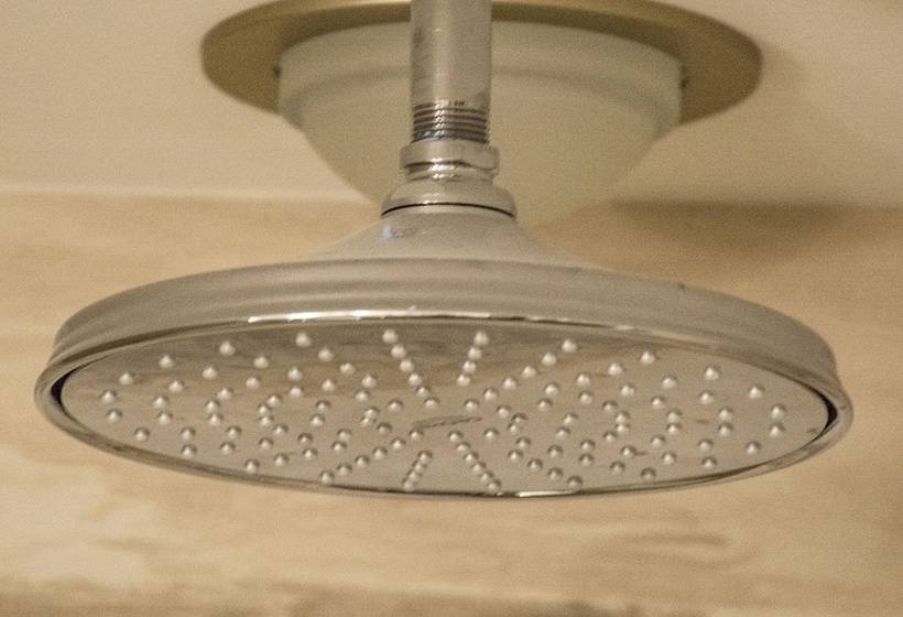 חדר דלוקס, The Delavan