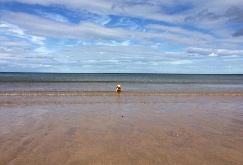 غرفة قياسية سرير كينج, No12 Bed And Breakfast, St Andrews