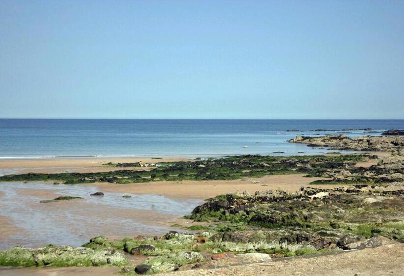 キングサイズベッドのスタンダードルーム, No12 Bed And Breakfast, St Andrews