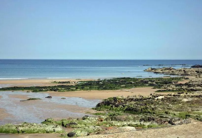 キングサイズベッドのスタンダードルーム, No12 Bed And Breakfast, St Andrews