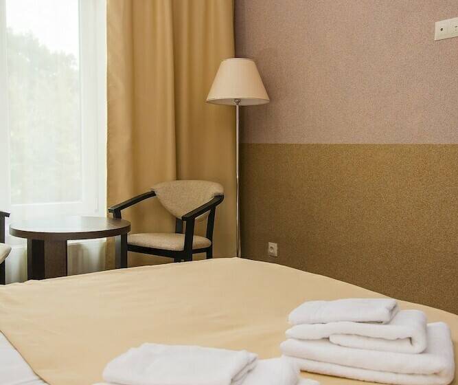Номер Стандарт, Otel Elisa Inn