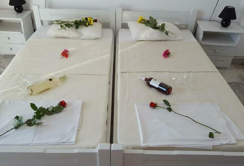 스탠다드 스튜디오, Varmy