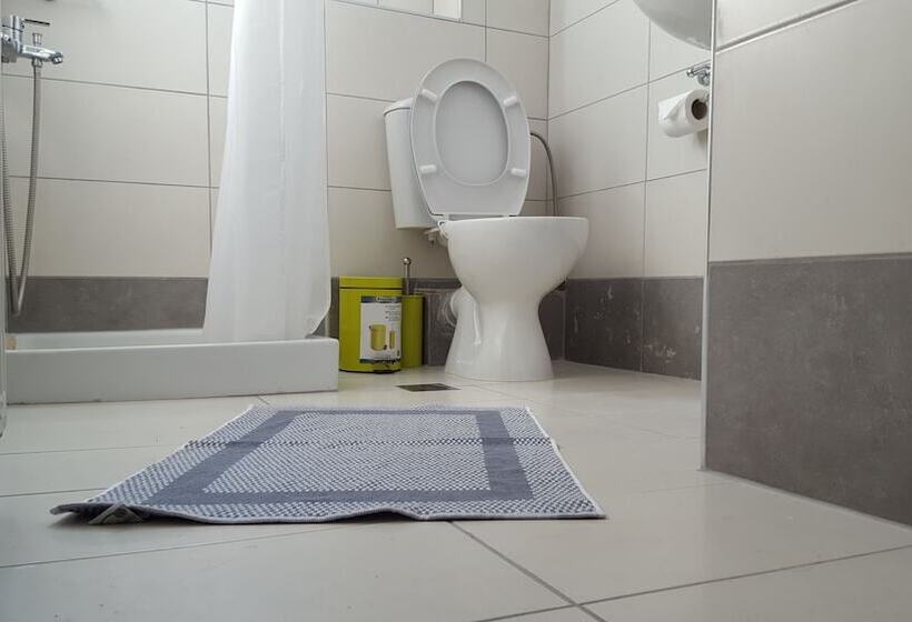 스탠다드 스튜디오, Varmy