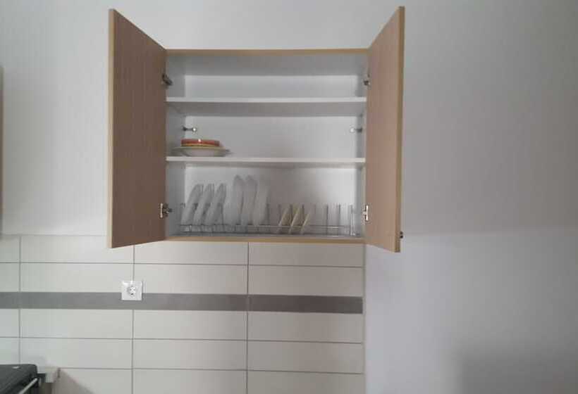 스탠다드 스튜디오, Varmy