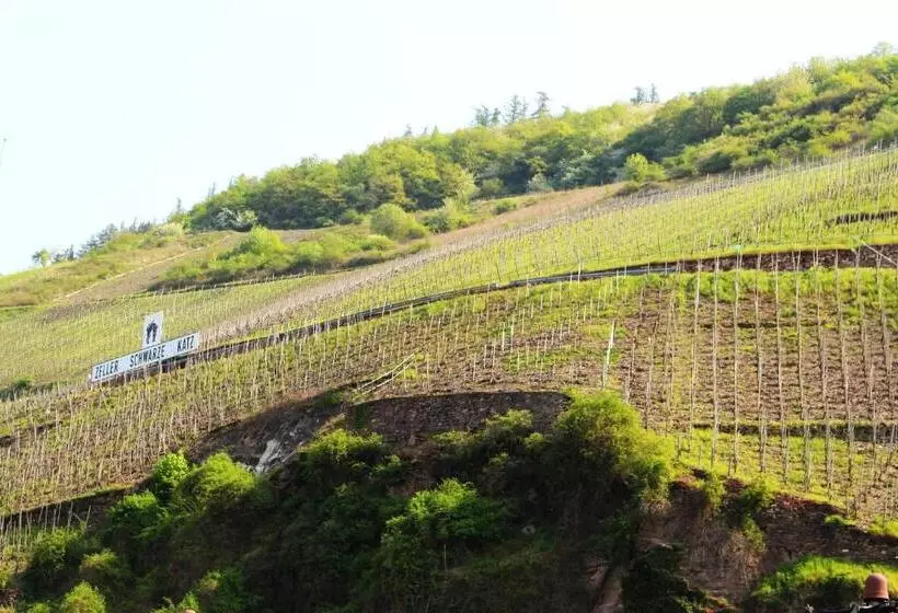 キングサイズベッドのスタンダードルーム, Pension Adelheid Moselhype&wine