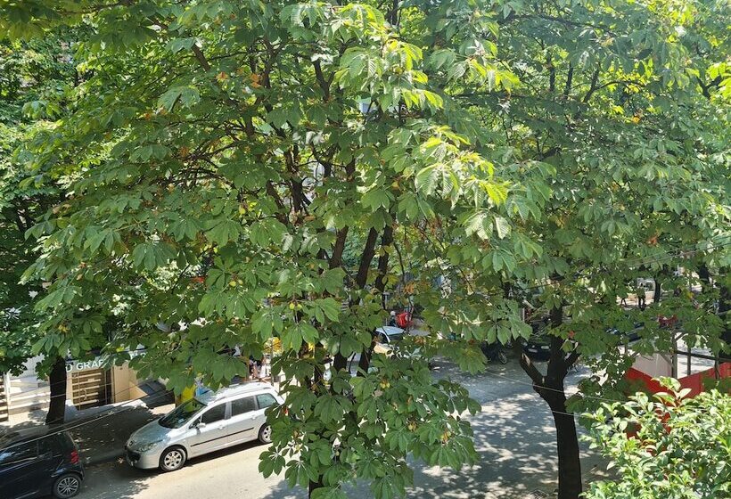 经济房, Artistic Tirana Blloku