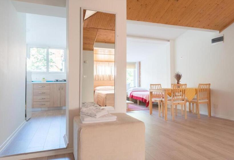 家庭工作室, Artistic Tirana Blloku