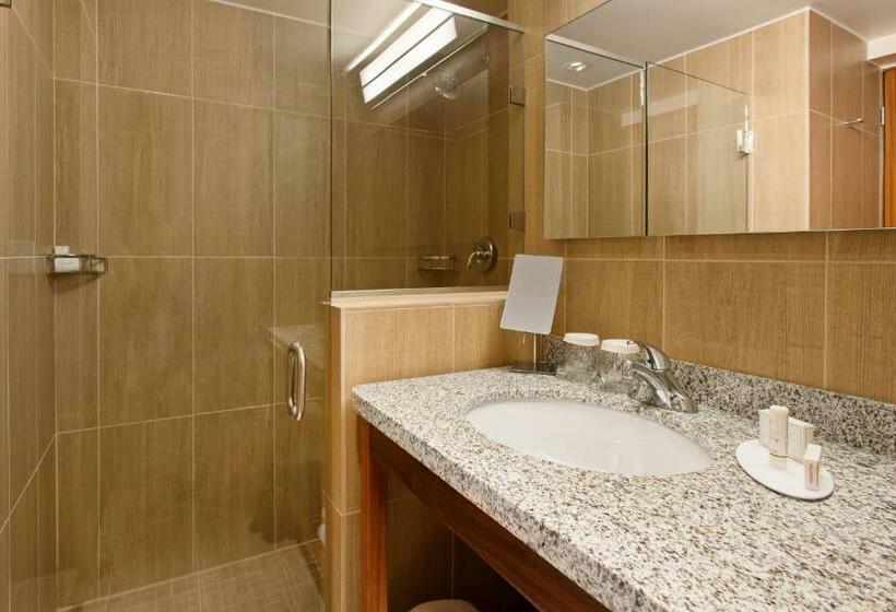 اتاق استاندارد با تخت بزرگ, Corallium Hotel & Villas Bonaire