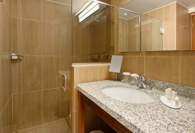 اتاق استاندارد با تخت بزرگ, Corallium Hotel & Villas Bonaire