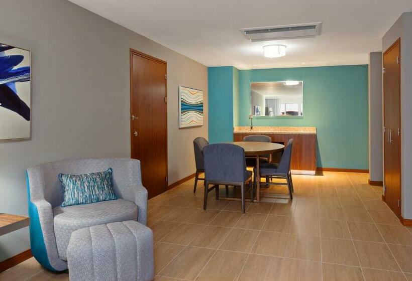 سوئیت با تخت بزرگ, Corallium Hotel & Villas Bonaire