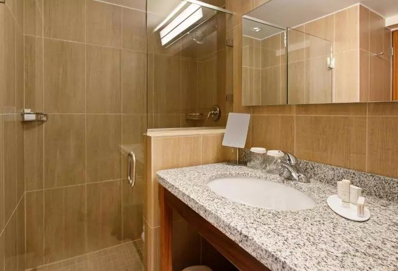 اتاق استاندارد با تخت بزرگ, Corallium Hotel & Villas Bonaire