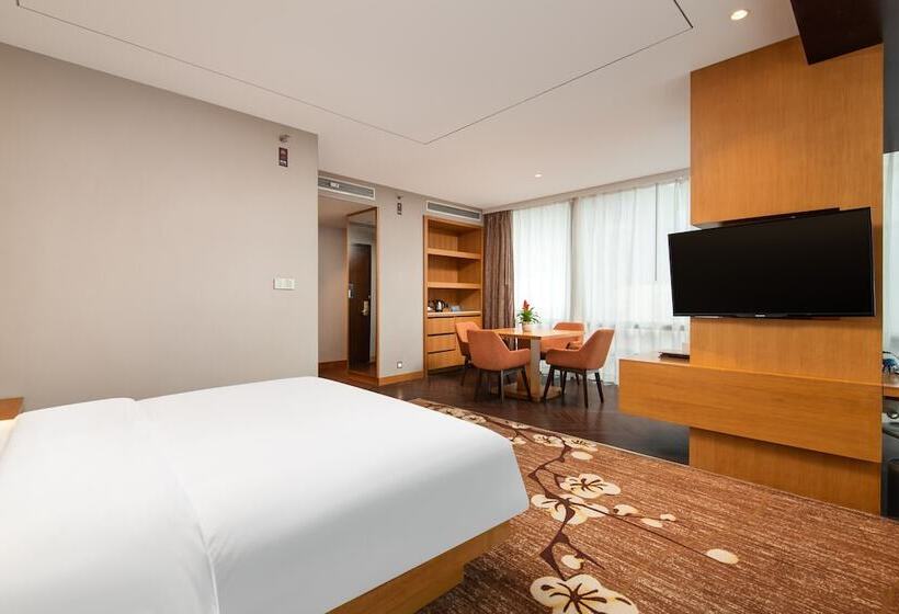 Номер Deluxe, Hilton Garden Inn Guiyang Yunyan