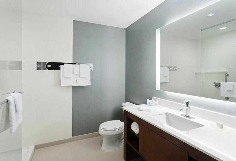 套房, Residence Inn By Marriott Houston West/beltway 8 At Clay Road