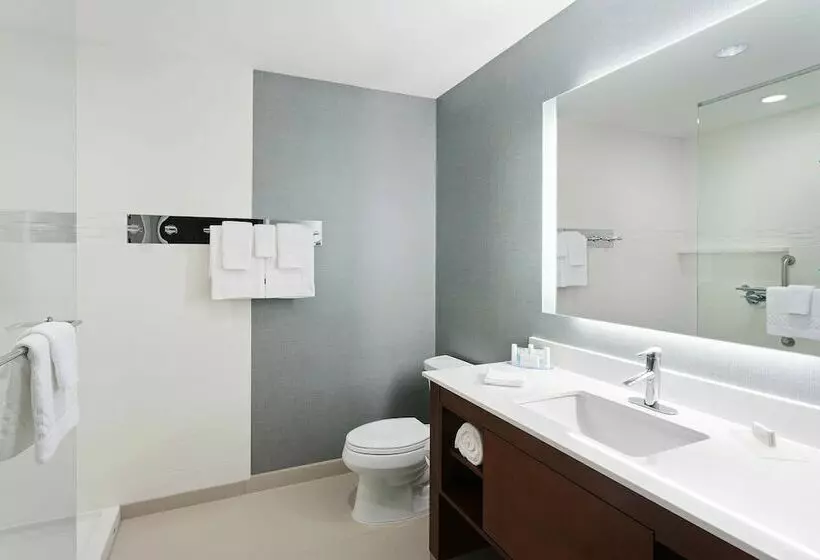 Sviitti, Residence Inn By Marriott Houston West/beltway 8 At Clay Road