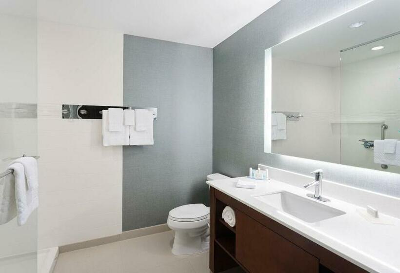 带大床的标准工作室, Residence Inn By Marriott Houston West/beltway 8 At Clay Road