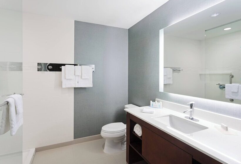 套房, Residence Inn By Marriott Houston West/beltway 8 At Clay Road