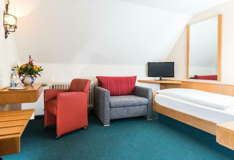 Номер Стандарт Индивидуальный, Stegner