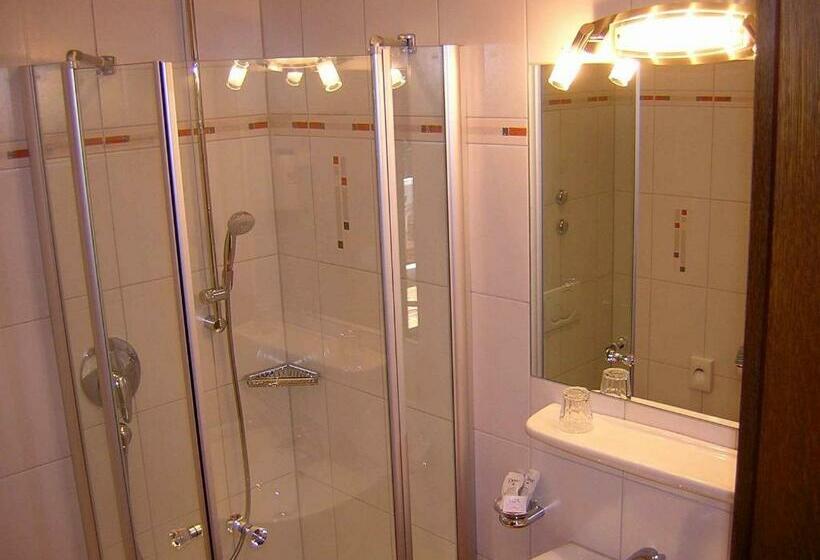 Номер Стандарт Индивидуальный, Stegner