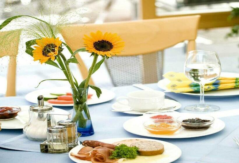 Номер Стандарт Индивидуальный, Stegner