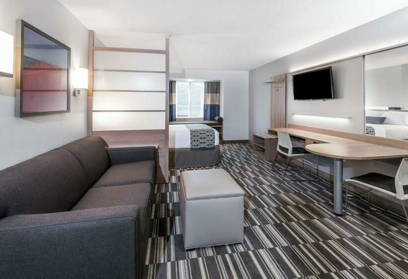 Номер Стандарт Адаптированный для Инвалидов, Microtel Inn & Suites By Wyndham   Penn Yan
