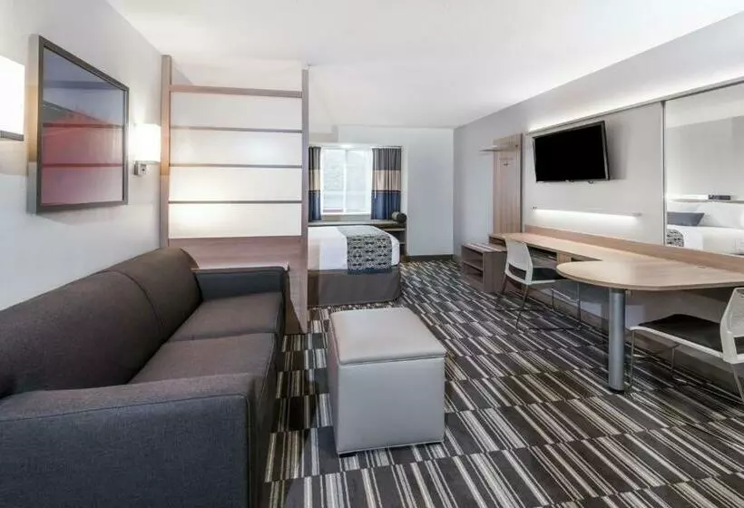 身障者適用スタンダードルーム, Microtel Inn & Suites By Wyndham   Penn Yan
