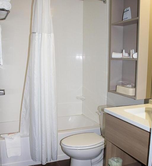Номер Стандарт Адаптированный для Инвалидов, Microtel Inn & Suites By Wyndham   Penn Yan