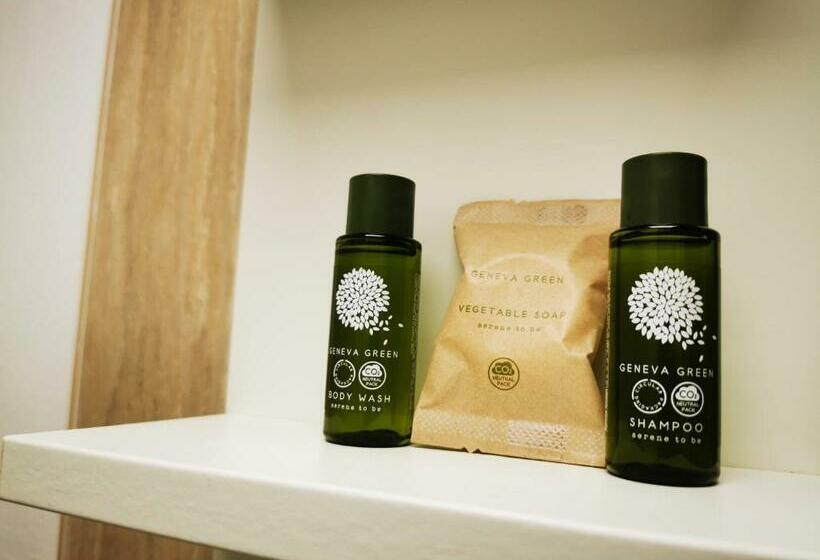 חדר סטנדרט יחיד, The Regents Guest House