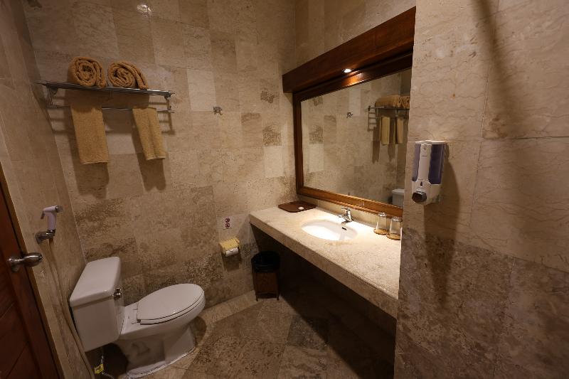 חדר סטנדרט יחיד, The Regents Guest House