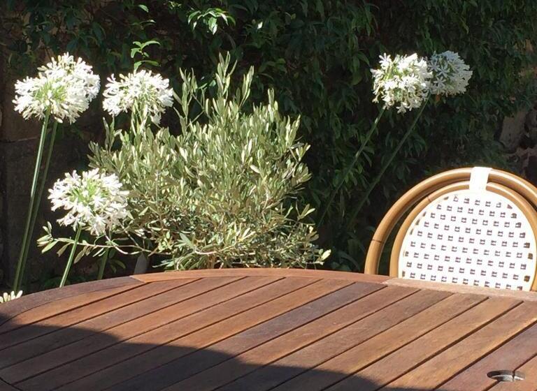 Дом 1 Спальня, La Casa Occitane