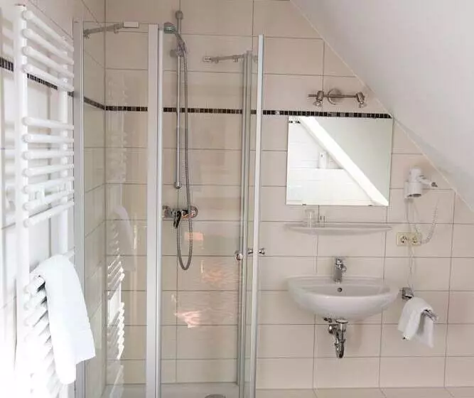 Standard Yhden Hengen Huone, Boutique Hotel Goldene Henne