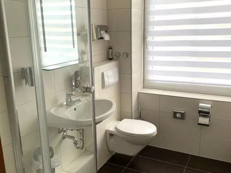 Standard Yhden Hengen Huone, Boutique Hotel Goldene Henne
