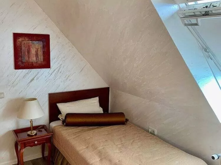 Standard Yhden Hengen Huone, Boutique Hotel Goldene Henne