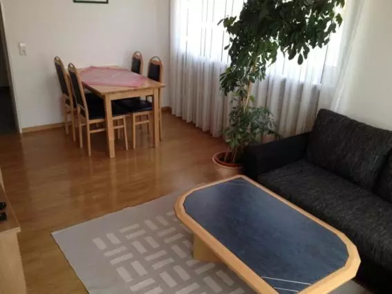 テラス付き１ベッドルームアパートメント, Gastehaus Und Fewo Lamm Garni