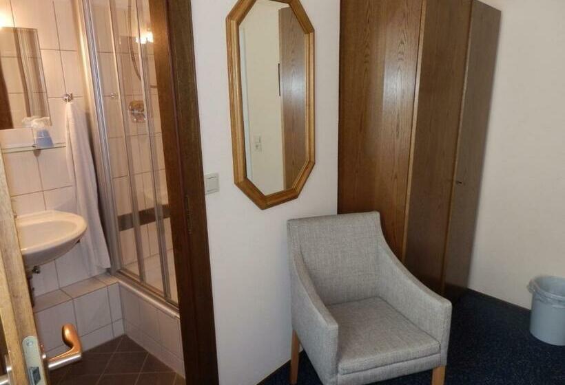 싱글 기본룸, Rheinischer Hof