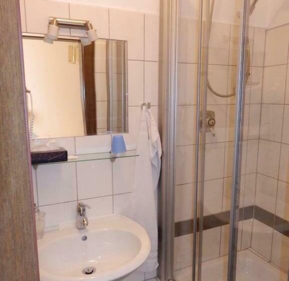 싱글 기본룸, Rheinischer Hof