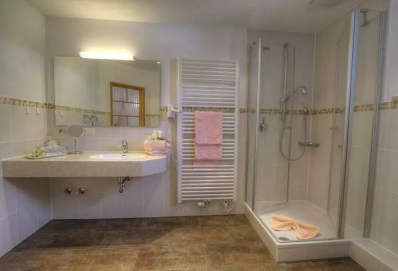 استودیو استاندارد با بالکن, Landhotel Berghof