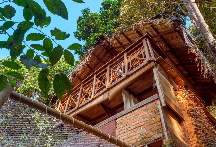 בקתת חדר, Colibri Hostal Minca Santa Marta