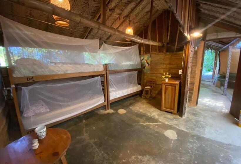 מיטה בחדר משותף, Colibri Hostal Minca Santa Marta