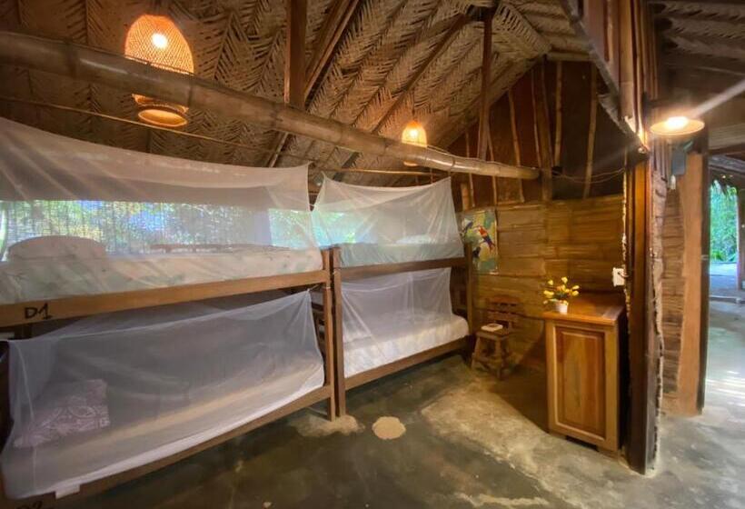 공동 객실, Colibri Hostal Minca Santa Marta