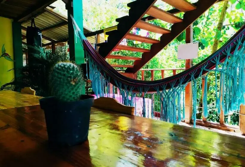 スタンダードルーム, Colibri Hostal Minca Santa Marta