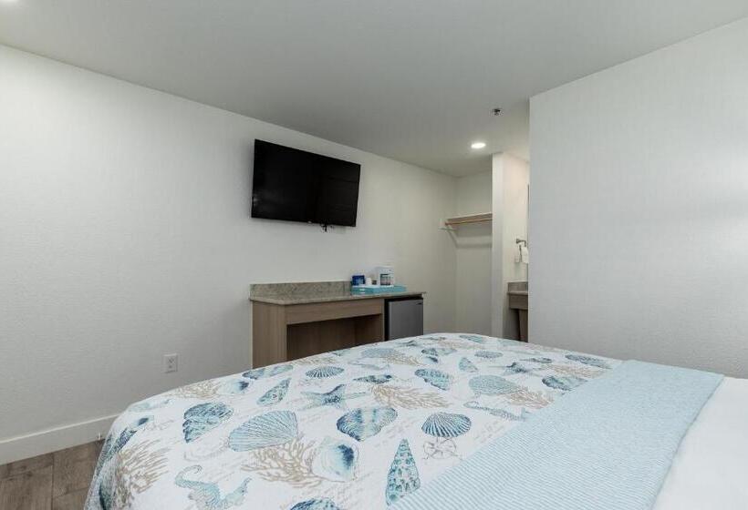 Standard Room King Size Bed