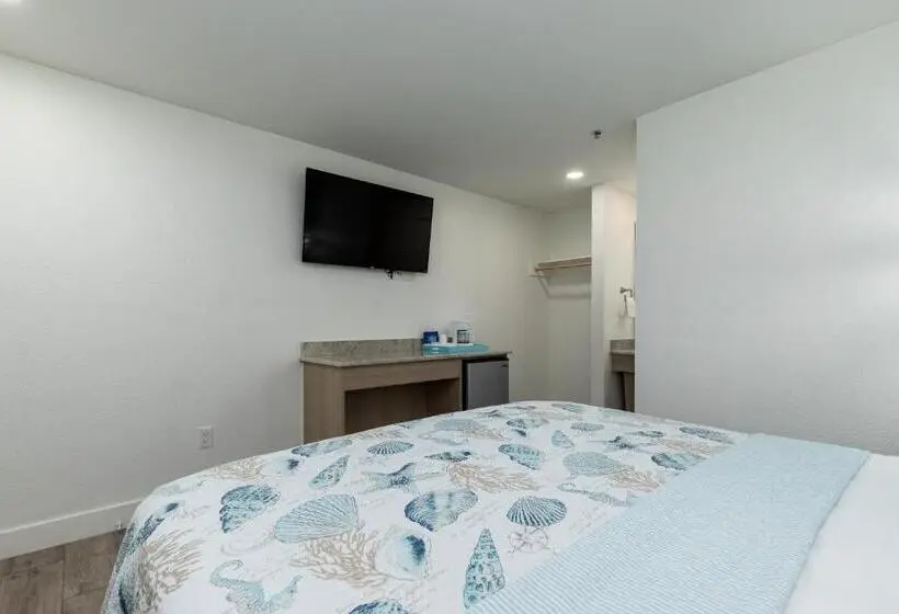 Standard Room King Size Bed