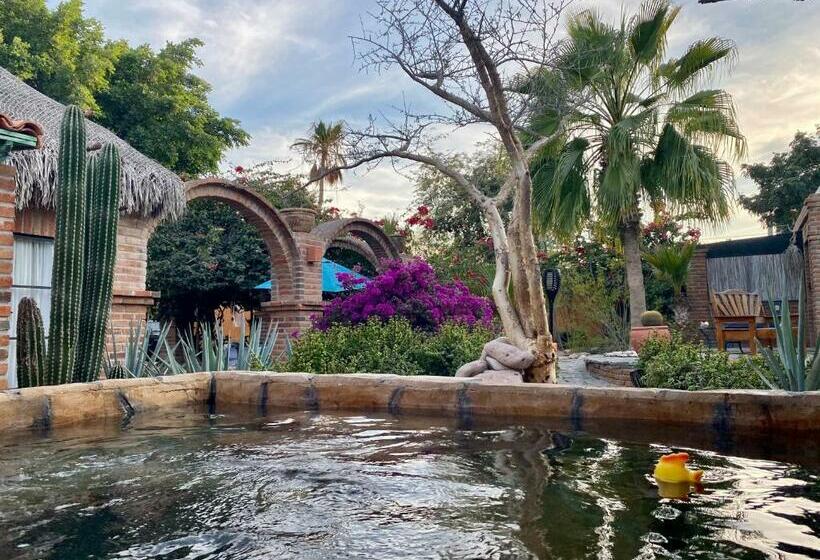 جناح ديلوكس, Casa Xochitl