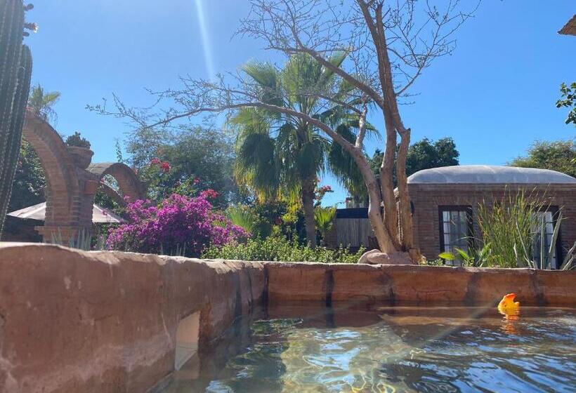 جناح ديلوكس سرير كينج, Casa Xochitl