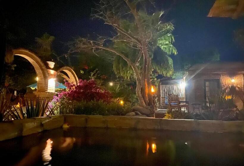エコノミールーム, Casa Xochitl