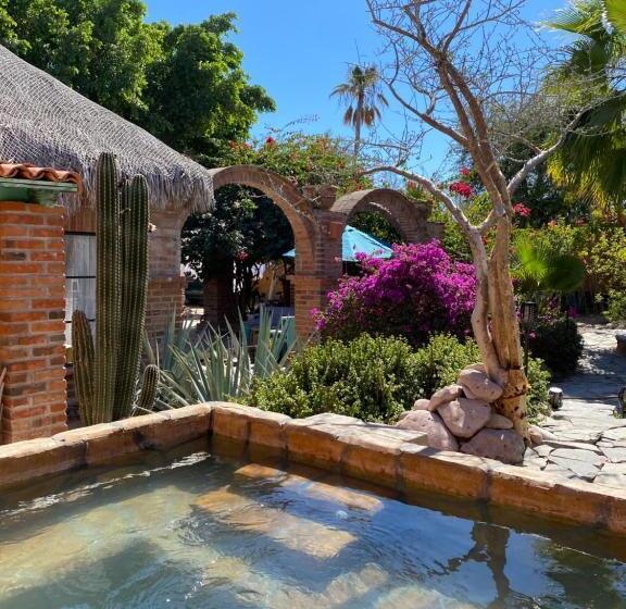 غرفة إقتصادية, Casa Xochitl