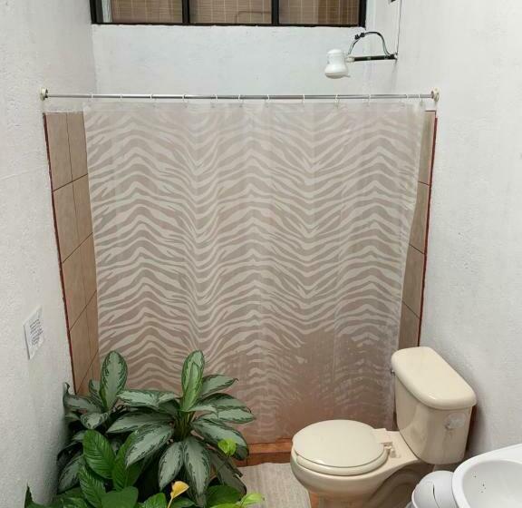 اتاق استاندارد, Cortez Azul