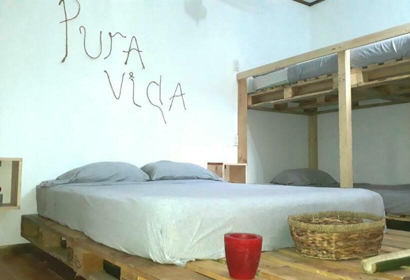 اتاق استاندارد, Cortez Azul