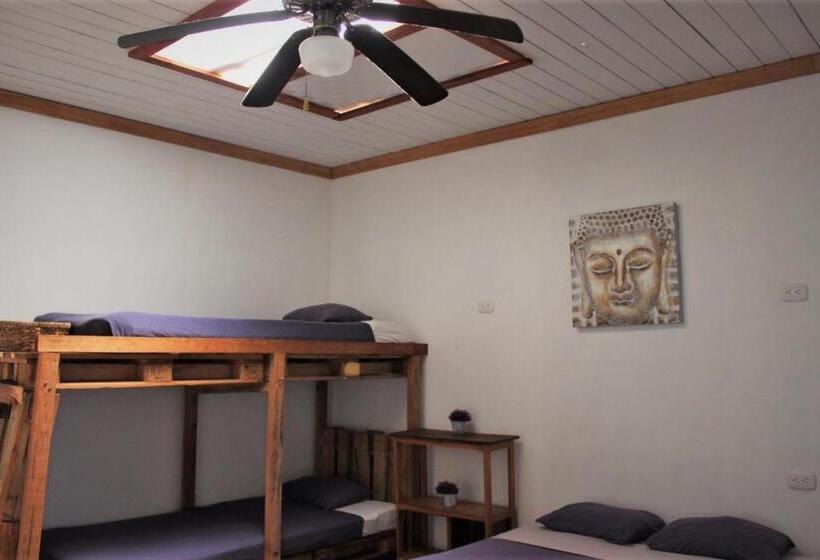 اتاق اکونومی, Cortez Azul