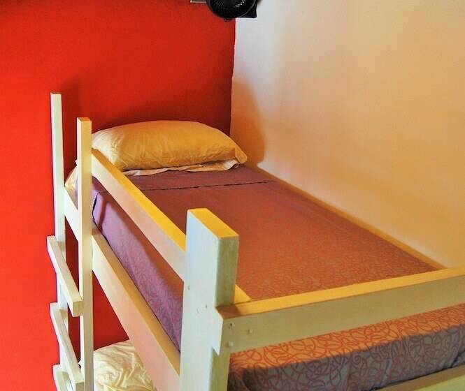 اتاق استاندارد با تختهای تاشو, Island Life Hostel